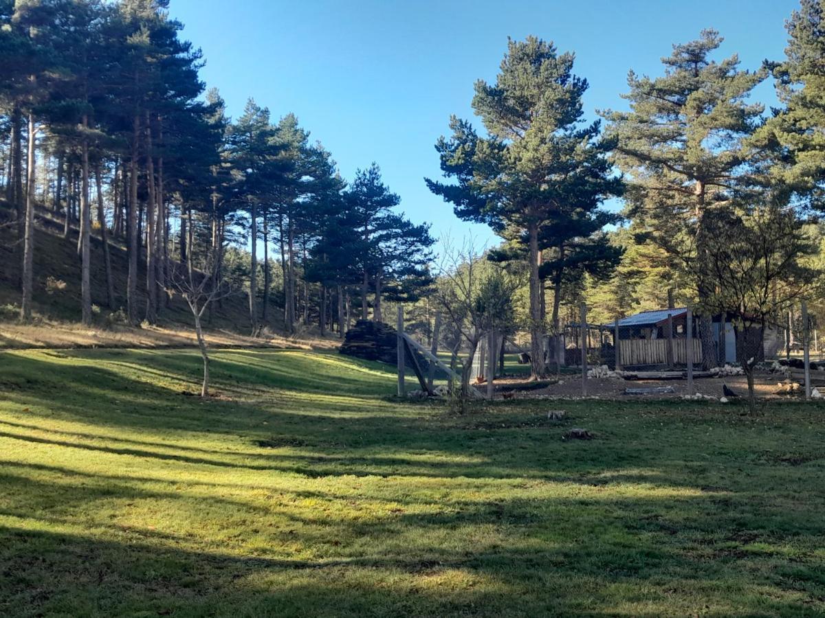 Domaine De L'Auspeliere Hotel Greolieres Esterno foto